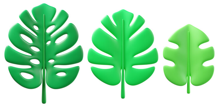 Set of 3D tropical monstera leaves, isolated on background. Fresh green botanical design element for summer branding, eco-friendly, wellness, spa, tropical invitations, stickers. 3d render
