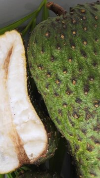 One sliced soursop graviola, exotic, tropical fruit Guanabana on plate, Rotate. Vertical footage