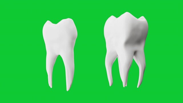3D animation Turning of Whitening Teeth with section teeth isolate on green screen. dental concept idea.