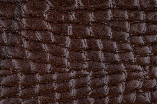 Dark brown reptile skin embossed leather texture for background