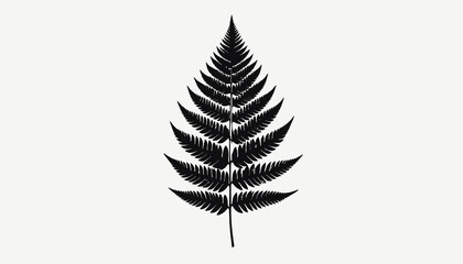 Detailed black fern leaf illustration. © Cctv