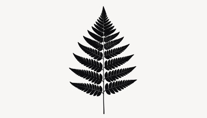 Black silhouette of a fern leaf. © Cctv