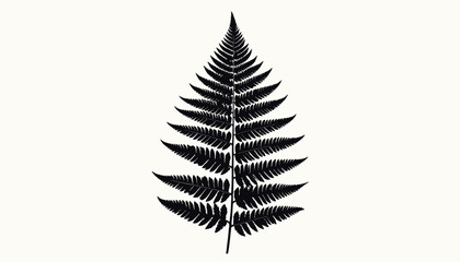 Detailed black fern leaf silhouette. © Cctv