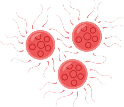 Collection of red flagellated microorganism cells representing bacteria, microbes, microbiology, pathogens, and microscopic biological science vector illustration