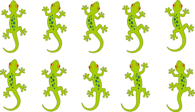 Green gecko lizard vector cartoon character collection featuring cute spotted tropical reptiles crawling in different dynamic angles for wildlife design graphics