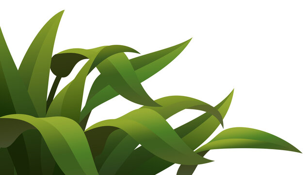 Wide grass leaf background asset for image compositing. Transparent background.