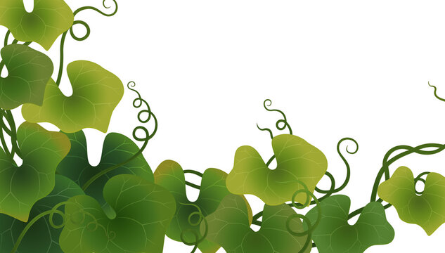 Wide grass leaf background asset for image compositing. Transparent background.