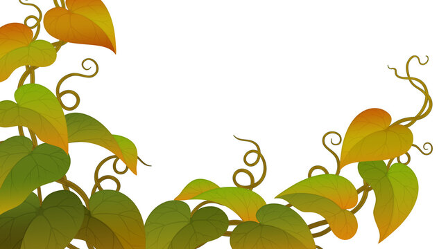 Wide grass leaf background asset for image compositing. Transparent background.