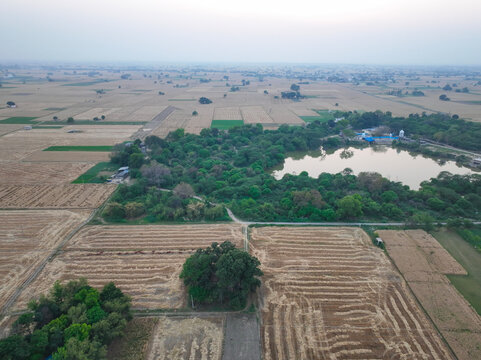 Aerial landscape of a traditional agrarian settlement and water body in Punjab India.