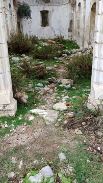 View inside the ruined interior of the Sina Monastery (Vasilya Agia Paraskevi Monastery), showing crumbling stone walls, a vaulted arch, and vegetation growing on the floor.