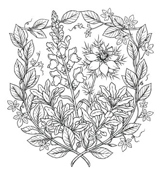 Vintage botanical line art illustration, floral coloring page vector with snapdragons and nigella, hand drawn garden flower bouquet in crest frame