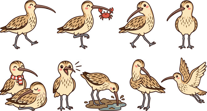 Cute curlew sandpiper bird vector cartoon character set featuring friendly shorebird eating crab flying sleeping standing probing mud in various happy wildlife poses