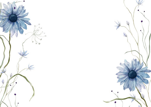 Horizontal Banner watercolor illustration with blue wildflower botanical cornflowers and daisy. Rectangular Frame with hand drawn illustration chamomile and long thin grass on isolated background.