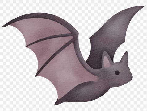Watercolor flying bat nocturnal wildlife illustration Vector.
