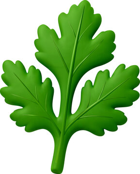 3D green salad leaves icon.