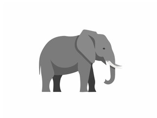 Fototapeta premium Flat Vector Illustration of a Large African Elephant Isolated on White Background for Wildlife Design