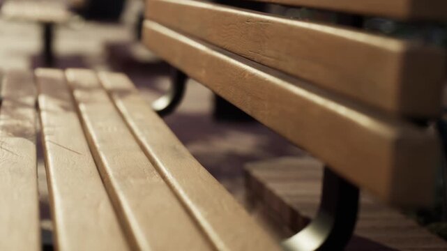 A wooden park bench sits in the sunlight with shadows playing across its surface. People can be seen in the background enjoying the park and its surroundings throughout the day.