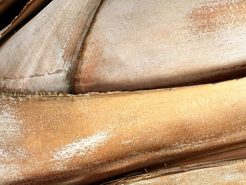 Close up of palm tree bark texture, natural beige color tropical palm trunck for background