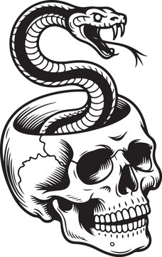 Black and white of a snake emerging from a cracked skull, tattoo flash style