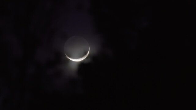A close-up of the moon, which appears as a very sharp crescent, moving across the night sky behind a tree. The outlines of the leaves are defined by the silhouette of the night sky.
