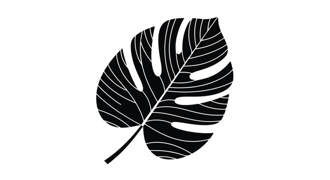 Monstera leaf displays intricate veins in a minimalist black and white botanical illustration style.