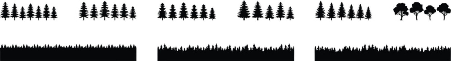 Black silhouette forest trees and evergreen pine trees  © MDSHAHIN
