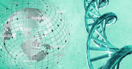 Obraz premium On play globe rotating to Americas while DNA helix shifting crossing extending visualizing genomes