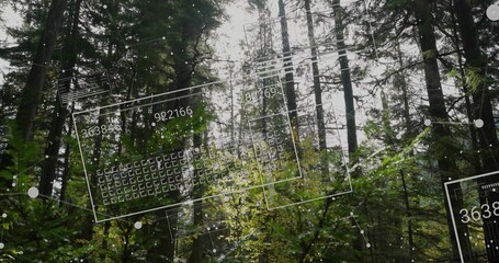 Obraz premium Sensors scanning canopy, projecting numbered panels and nodes, updating then exiting for ecology