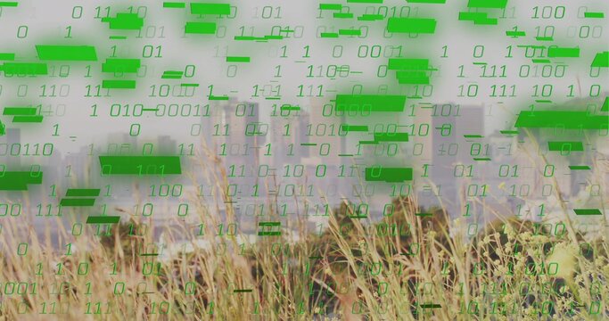 Grass standing, green binary overlay starting at skyline, sliding down hiding front showing tech