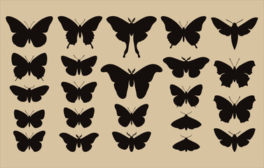 Detailed butterfly and moth silhouette collection featuring diverse exotic insect shapes for creative nature themed graphic design projects and artistic visual storytelling assets © ABAER