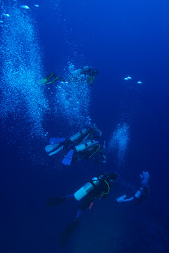 Safety stop in scuba diving.Scuba divers performing a safety stop at the end of a dive.Underwater bubbles, water bubbles.Egypt.