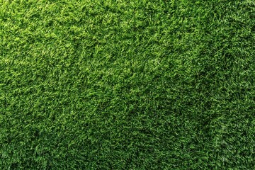 Obraz premium Green grass texture background for landscape and natural design