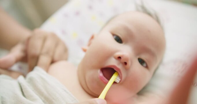 A calm newborn baby has their gums gently cleaned by a parent with a soft infant toothbrush, introducing a crucial oral hygiene routine for healthy development.