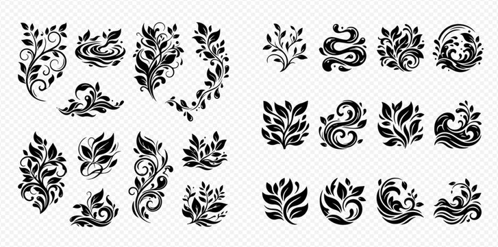 Set of decorative floral elements and branches with leaves, elegant ornaments and swirls, vector illustration.