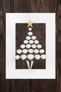 Seashell surreal tree shape with white cockle shells, starfish seashells on rustic wood background with white border square frame.