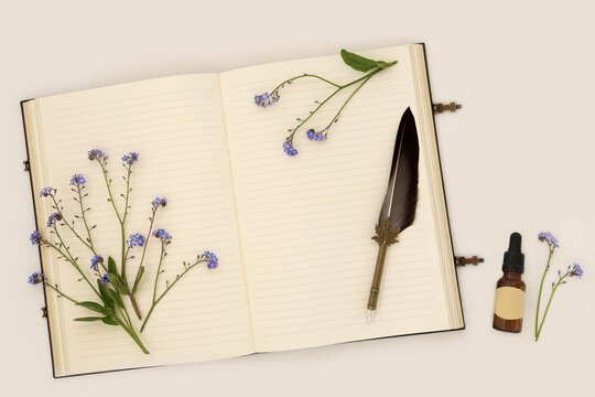Forget me not flowers, aromatherapy essential oil bottle, notebook for herbal medicine recipe on cream. Treats respiratory problems, a sedative, anti inflammatory. Myosotis