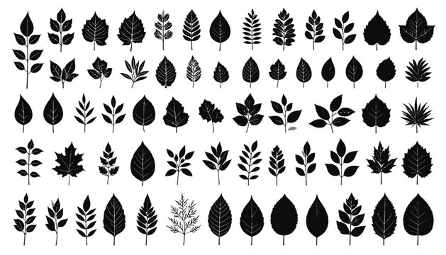 Collection of various leaf silhouettes.