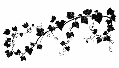Black silhouette of leafy vine branch. © Cetak