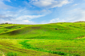 Fototapeta premium green spring hills with young grass and amazing growing fields and hills with beautiful bright cloudy sunset on background of rural landscape