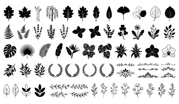 Leaves and Botanical Silhouette Icon Set, Black Vector Illustration Collection with Decorative Dividers