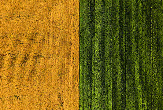 Geometric agricultural fields aerial drone view, modern farming, crop patterns and rural landscape concept