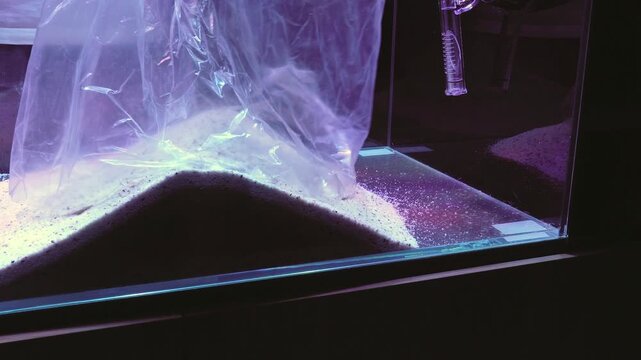 saltwater aquarium marine aquarium reef tank