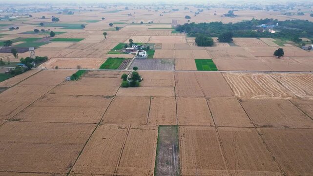 High angle hyperlapse view of rural farmland and green tree canopies in North India.