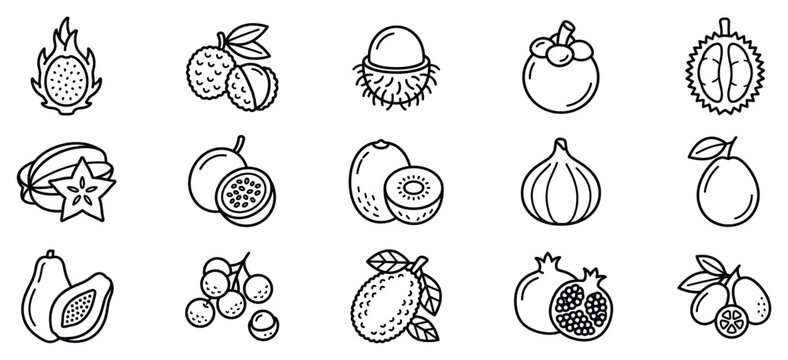 Exotic fruit icons set. Healthy eating and tropical produce concept. Includes dragon fruit, lychee, rambutan, mangosteen, durian, star fruit, passion fruit, kiwi, fig, guava, papaya, longan,