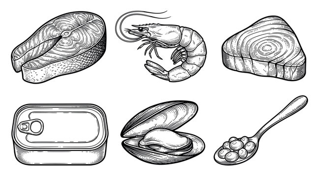 Seafood and fish products vector illustration set in vintage engraving style