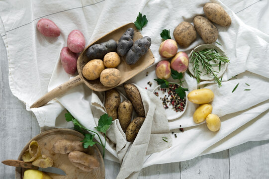 Studio shot of different varieties of raw potatoes