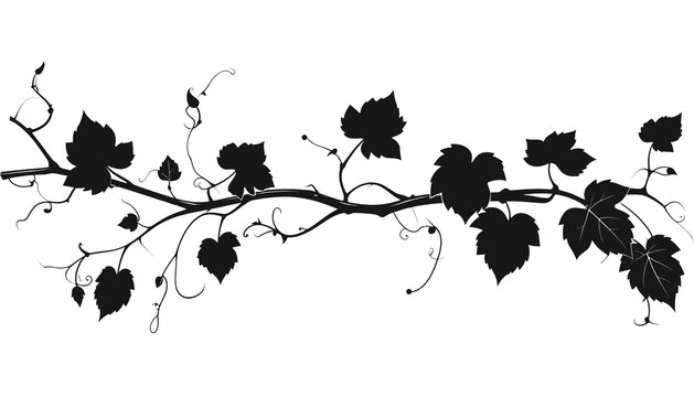 Black silhouette of grapevine branch.