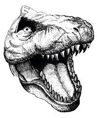 Naklejka premium Hand Drawn Dinosaur Head on White Background 