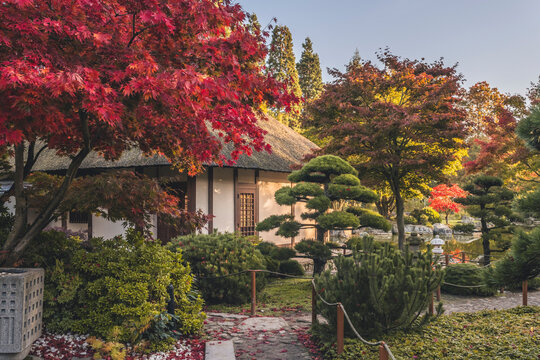 Germany, Hamburg, Japanese teahouse in Planten un Blomen park