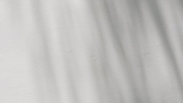Soft Leaf Shadow Silhouettes Gently Swaying in Natural Breeze on Wall for Brand Background